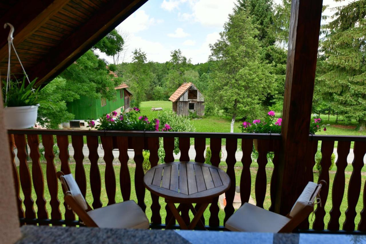 Apartman Jelena Rakovica Exterior foto
